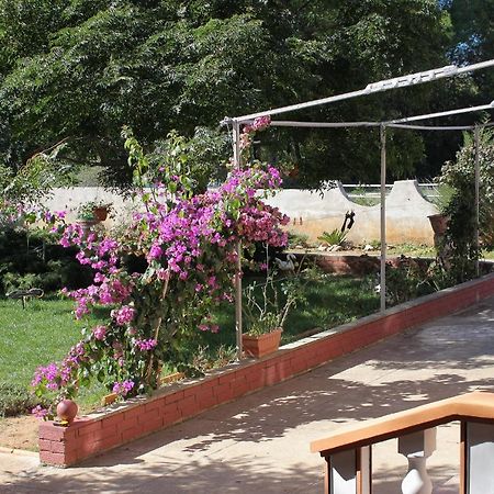 Apartments For Families With Children Privlaka, Zadar - 5747 Exterior photo